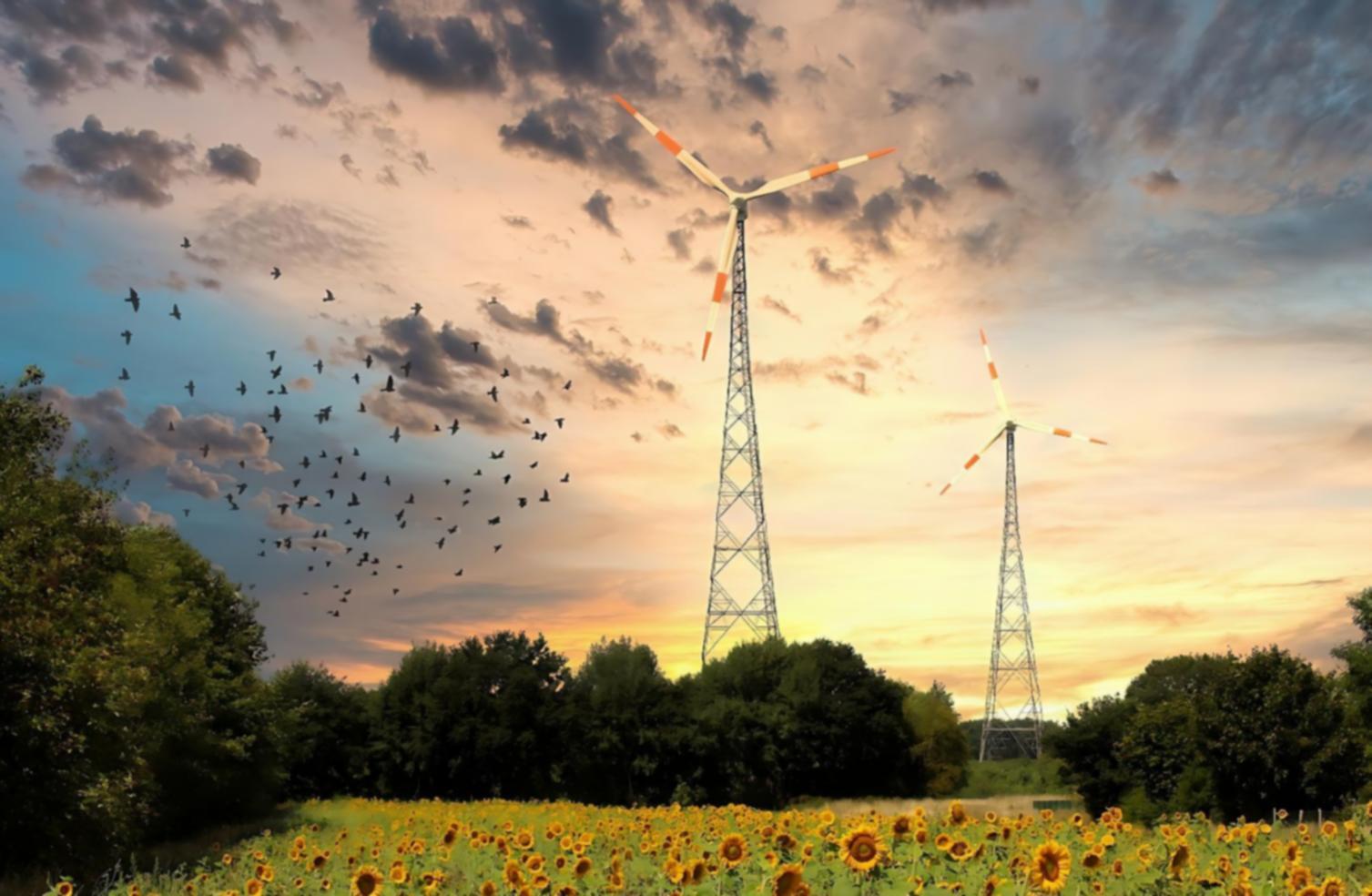 Séance de séminaire sur la bioénergie à Lyon