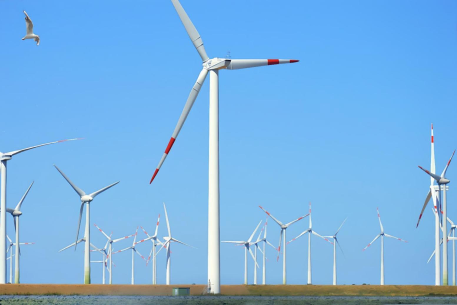 Session de travail en groupe sur la bioénergie